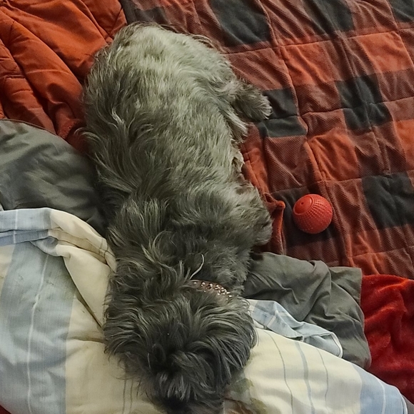 Pete Ruffler - Picture 4 of 5